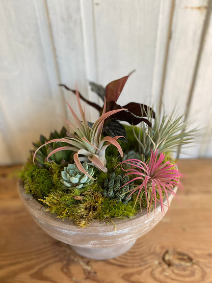 succulents carmel ca Succulent Arrangement – Fleurs Du Soleil