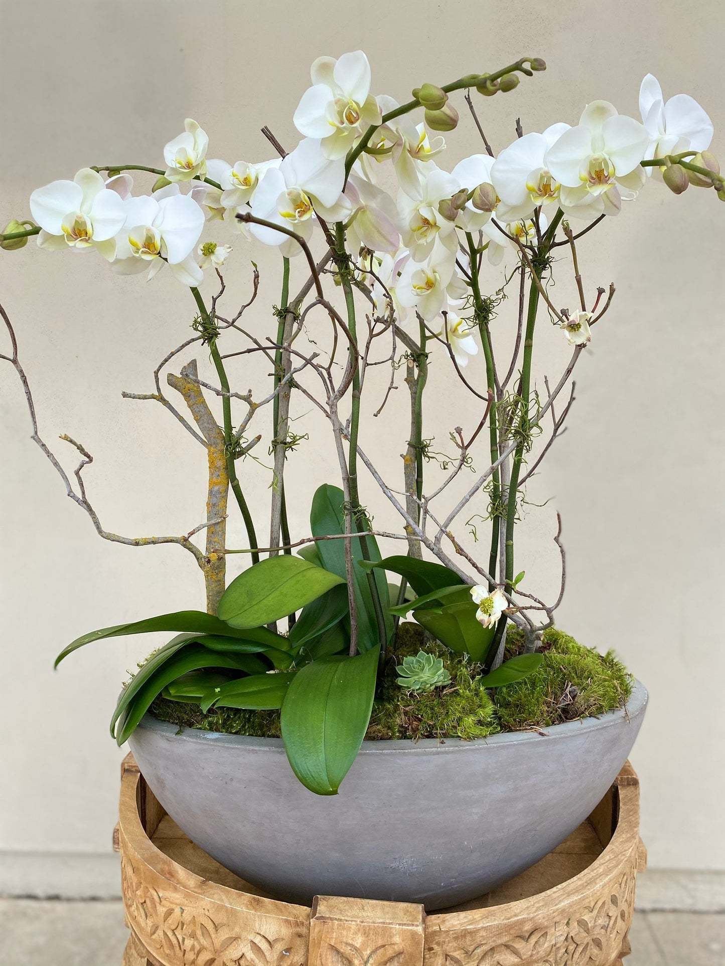 Luxe White Orchid