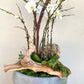 Lush White Orchid