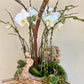 Lush White Orchid