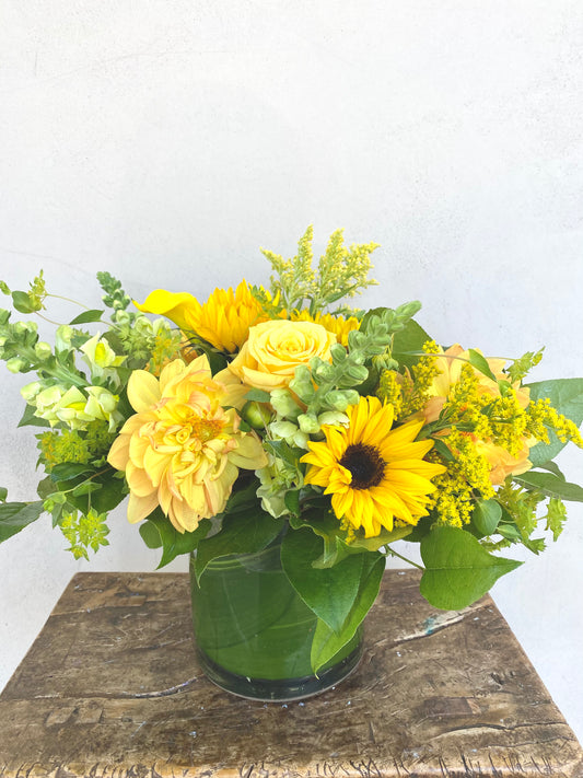 Burst of Sunshine